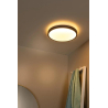 LED stropní svítidlo DASHER do koupelny - Ø 41 cm - 1x24W 2700K - IP44 - Senzor pohybu & Den/Noc - Černá