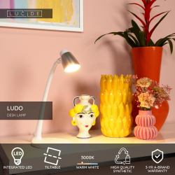 Lucide LUDO LED stolní lampa 1x4,5W 3000K bílá