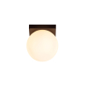Lucide TASSA - koupelnové stropní svítidlo - Ø 13,5 cm - LED stmívatelné - 1x12W 1800K/3000K - IP40 - černé