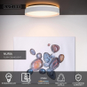 LED Stropní svítidlo Lucide NURIA - Ø 40 - stmívatelné - bílé