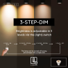 Lucide MR16 - Led žárovka - Ø 5 cm - LED stmívatelná. - GU10 - 1x5W 2600K/2800K - 3 Stmívatelné - Bílá