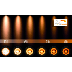 TALA LED Spot 3x GU10/12W DTW černá